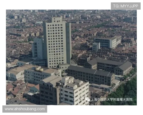 北京乒乓球队在钻石联赛中的崛起与成长历程全景回顾